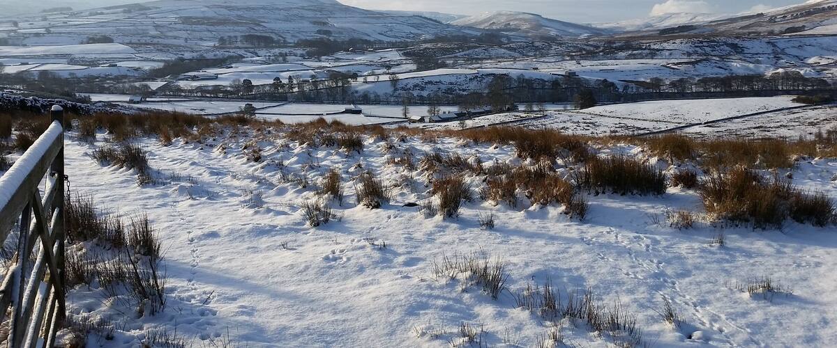 A snow-covered landscape with fields, a fence, and distant mountains.