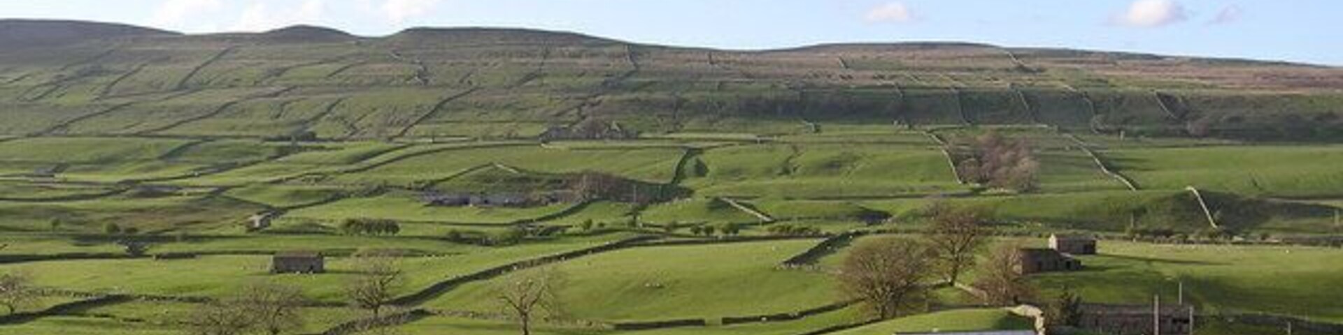 Cartriggs Farm Wensleydale in the spring