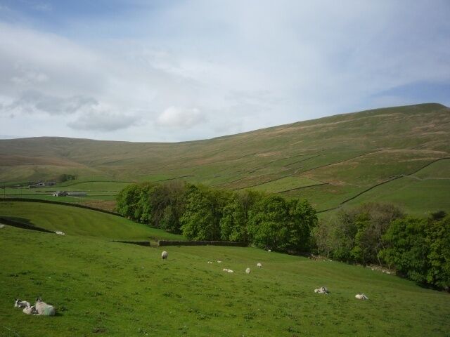 A green hillside with sheep grazing, a stone wall, and a small building in the distance.
