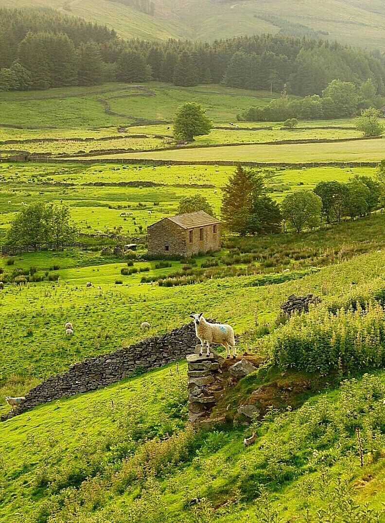Very quiet and out of the way village that has red squirrels that reside in the area