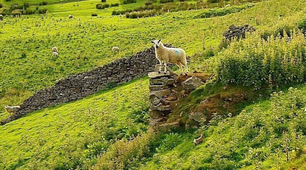 Very quiet and out of the way village that has red squirrels that reside in the area