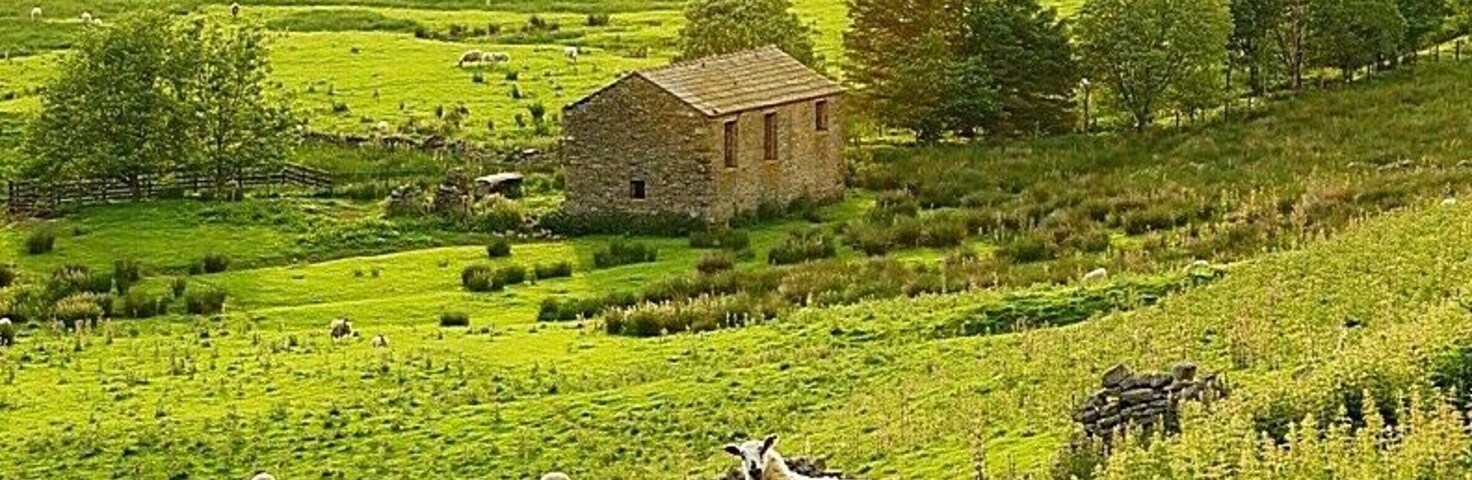 Very quiet and out of the way village that has red squirrels that reside in the area