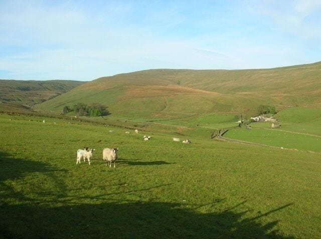 A green valley with rolling hills, a few scattered sheep, and a small building in the distance.