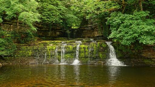 Not the most popular waterfall in the dales,but worth a look
