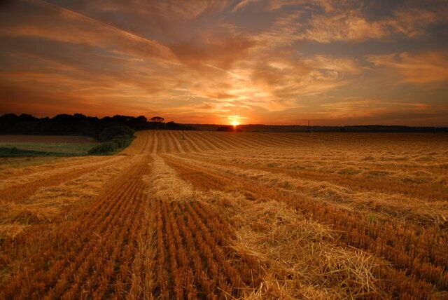 Harvest in Warbleton Taken from Warbleton Churchyard. This is a jpeg straight from the camera, no photoshop or post processing. I used a grad ND filter... It was taken in July at sunset.