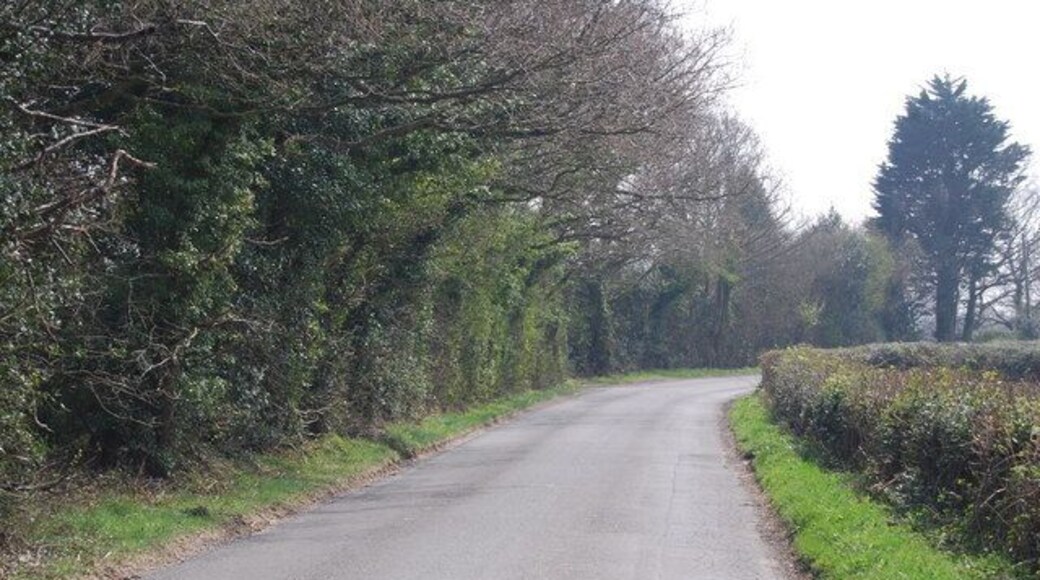 Marklye Lane looking South