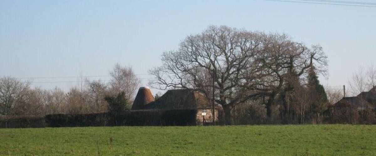 A rural landscape with a large tree, a stone structure, and a field.