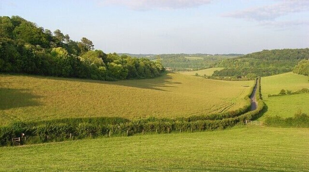 Valley, Turville Court Looking down Dolesden Lane with Home Wood on the left.