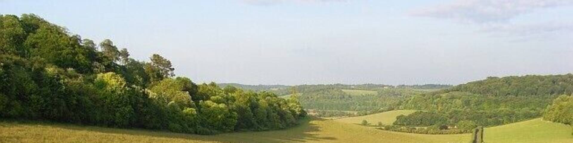 Valley, Turville Court Looking down Dolesden Lane with Home Wood on the left.