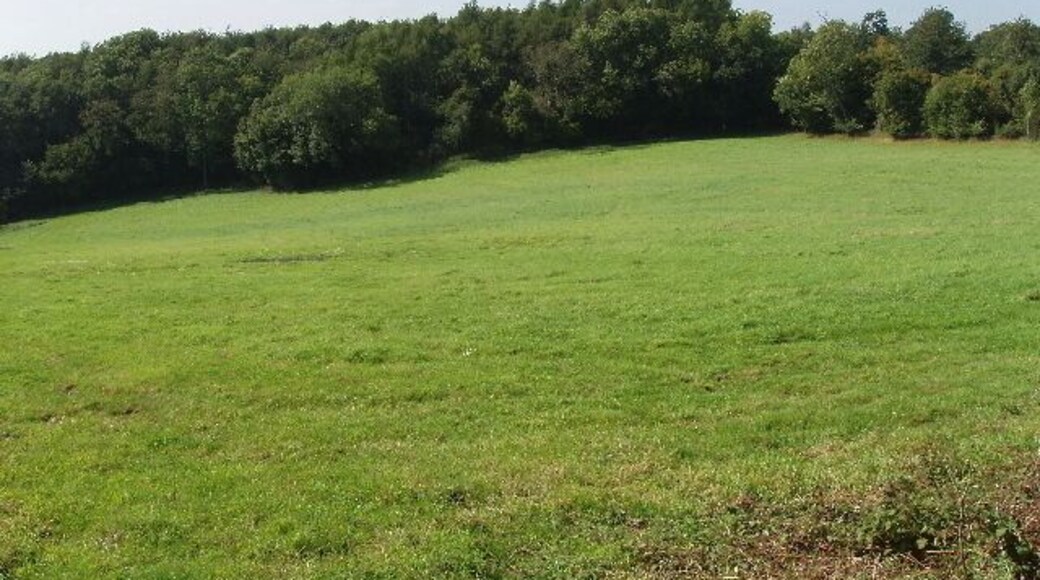 Mousells Wood Seen across pasture from public footpath. It is between Frieth and Fingest.