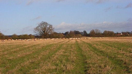 Farmland, Fawley Pastures beside the Oxfordshire Way near Crockmore Farm.