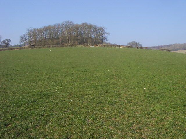 Chiltern Way Chiltern Way heads up the hill towards the copse and on towards Park Wood