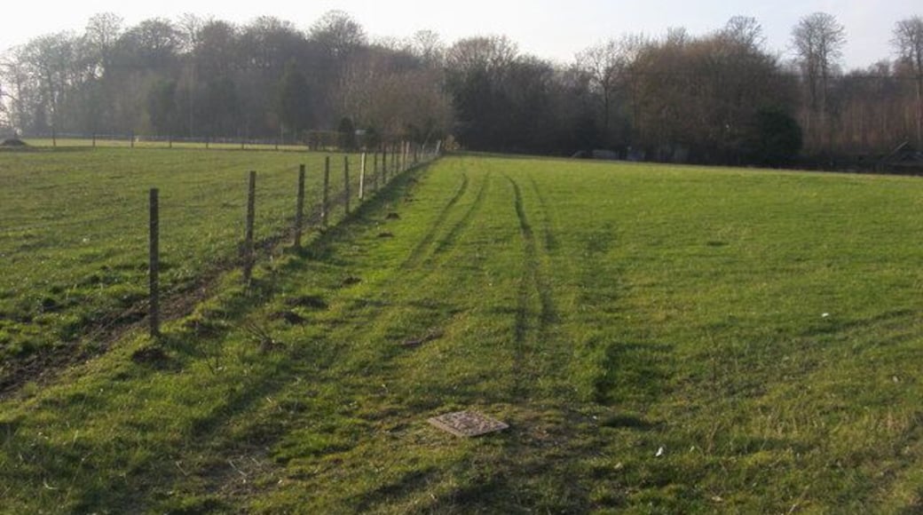 Footpath to Moorend Wood From lane to Chisbridge Cross footpath to Moorend Wood