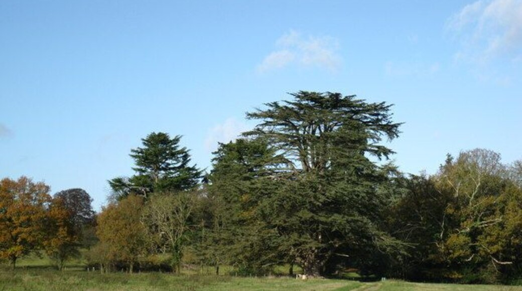Oxfordshire Way approaching Henley Park