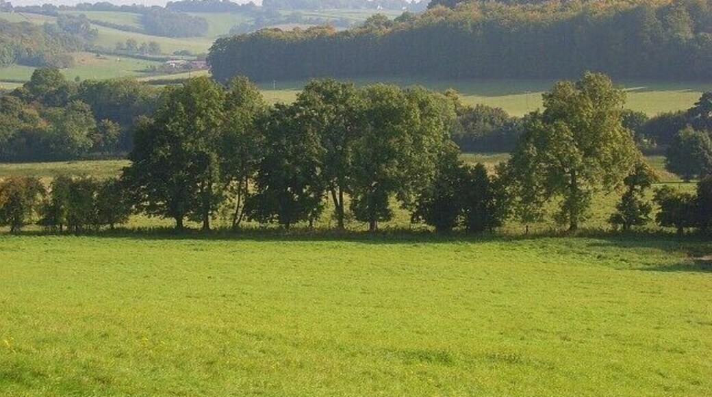 Pastures, Skirmett Looking across the Hambleden valley towards Goddard's Wood.