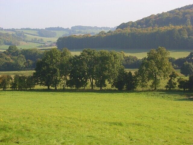 A green field with a line of trees in the foreground and rolling hills in the background.