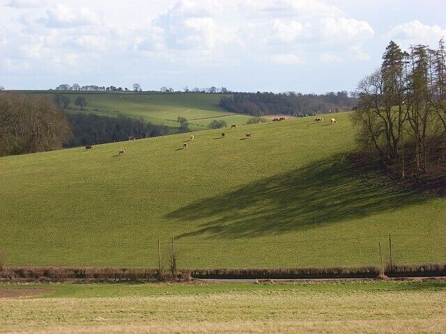 Farmland, Stonor The road to Maidensgove is immediately below. Beyond the ridge with cattle is the Assendon valley.