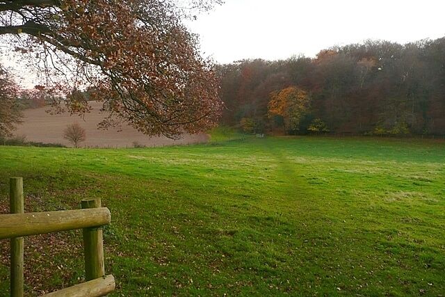 Footpath to Sonning Common The path from Rotherfield Peppard drops down steeply to Stony Bottom, before climbing again into the woodland.