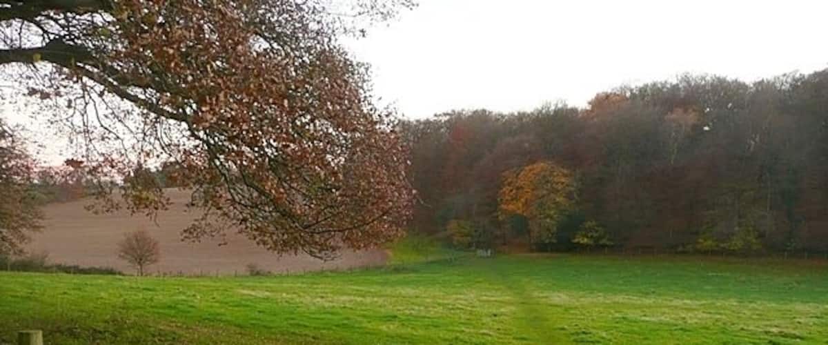 Footpath to Sonning Common The path from Rotherfield Peppard drops down steeply to Stony Bottom, before climbing again into the woodland.