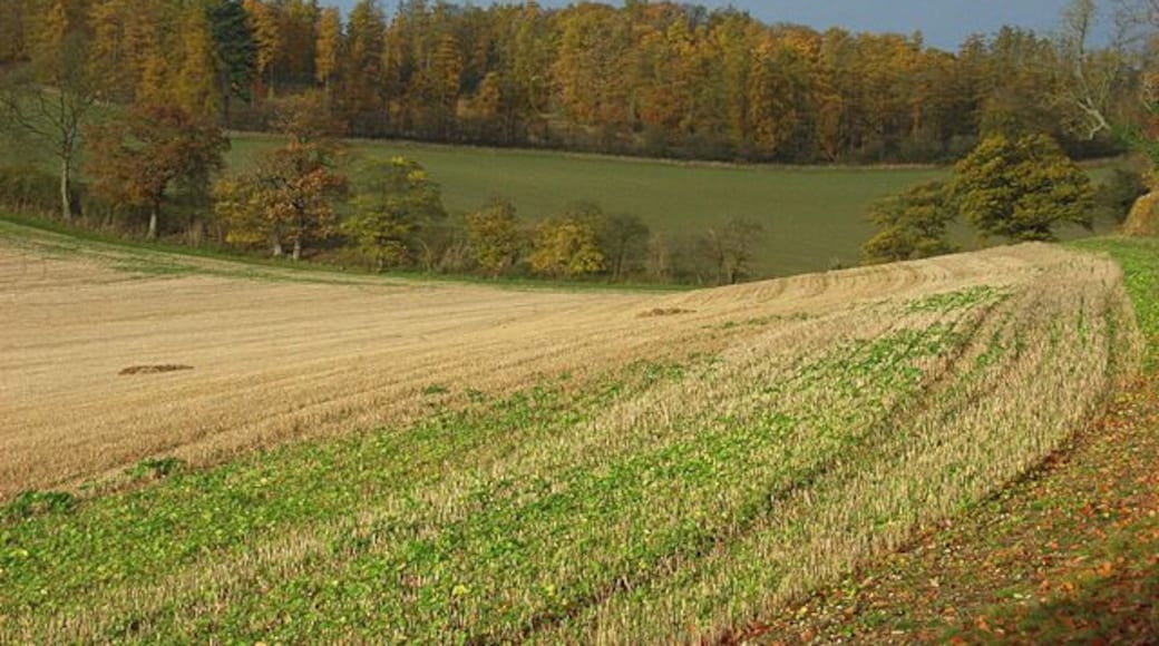 Farmland, Middle Assendon Stubble beside Fawley Bottom Lane, Fawley Bottom being the dry valley leading off the main Assendon valley.
