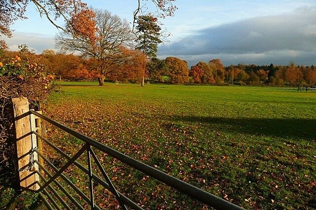 Paddock east of Merrimoles Plenty of evidence of equine activity around here.