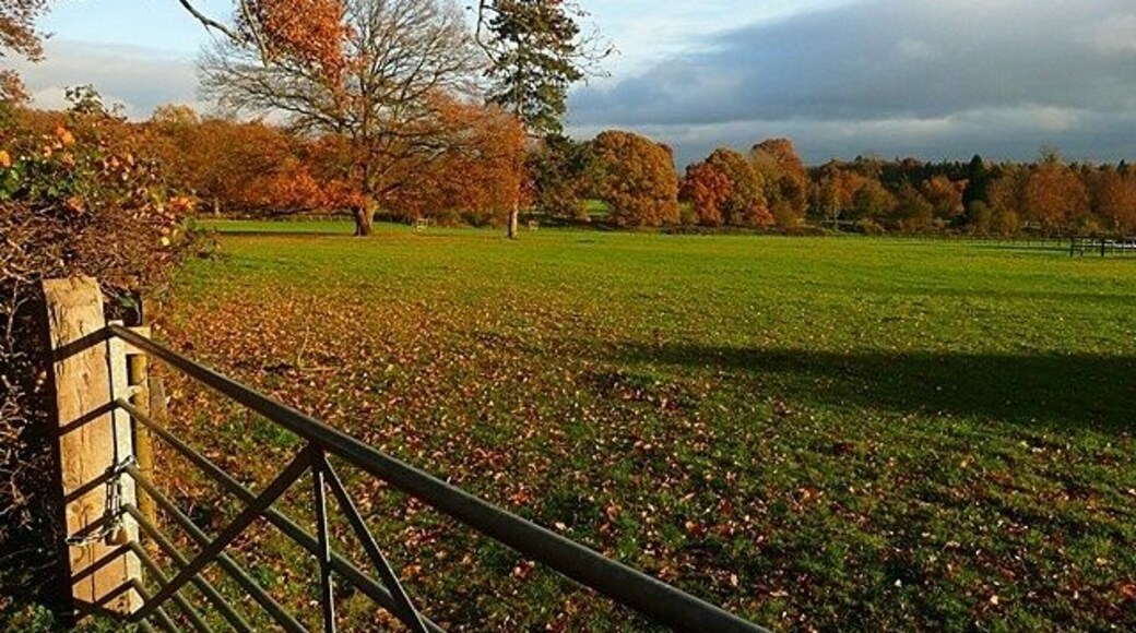 Paddock east of Merrimoles Plenty of evidence of equine activity around here.