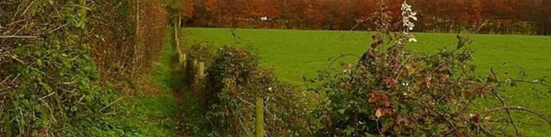 Footpath from Wyfold Lane The path is squeezed alongside the hedge by a barbed wire fence to the right beyond which is a cattle pasture.