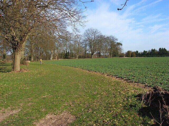 Farmland, Parmoor Oil-seed rape alongside the road to Frieth. A footpath skirts the field following the line of the road.