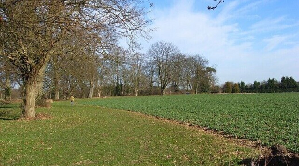 Farmland, Parmoor Oil-seed rape alongside the road to Frieth. A footpath skirts the field following the line of the road.