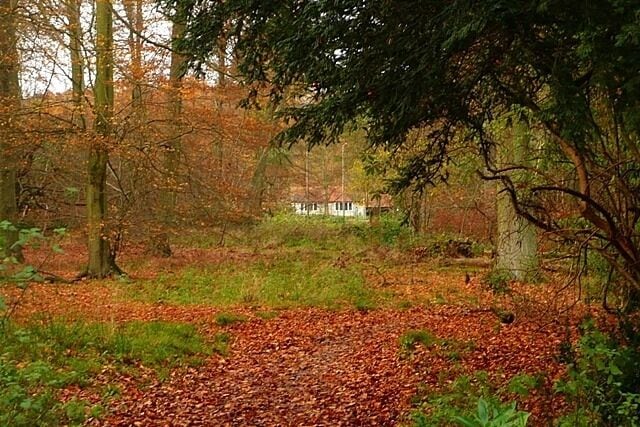 Leaving Holly Grove The woodland thins out to the north as one approaches a few houses at Lower Highmoor on a bridleway.
