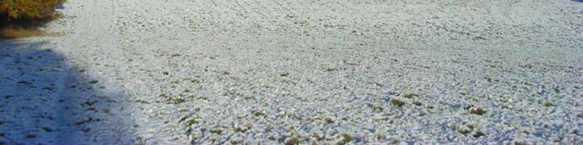 Pastures in snow, Cadmore End Looking along the edge of the autumnal Hanger Wood.