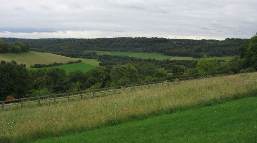 Litmore Shaw Nature Reserve
