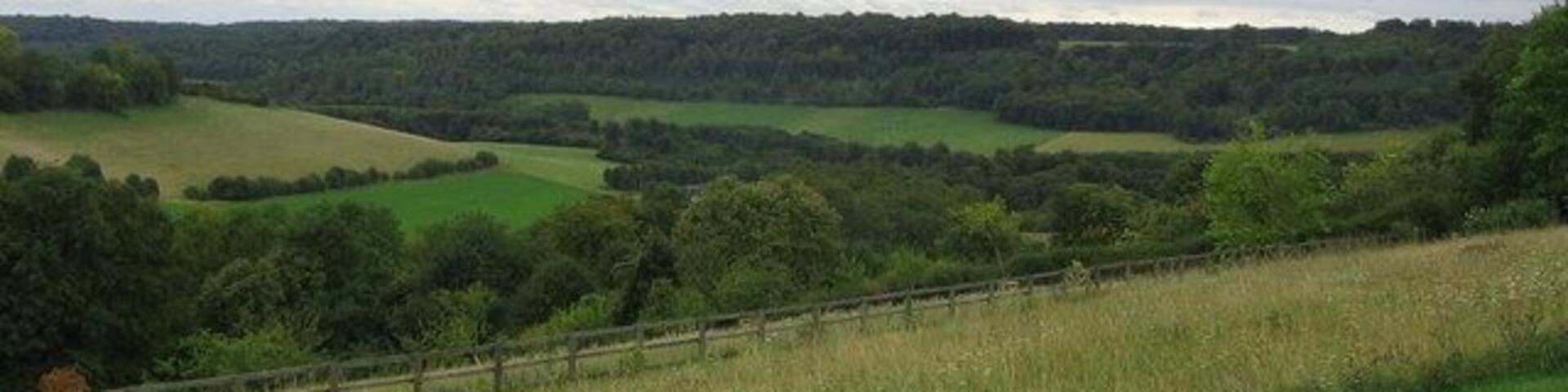 Litmore Shaw Nature Reserve