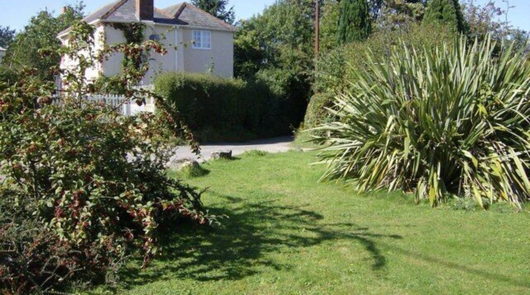 House and plants at Catslip The hamlet of Catslip is remote yet accessible and has a number of individual houses each with distinctive gardens.