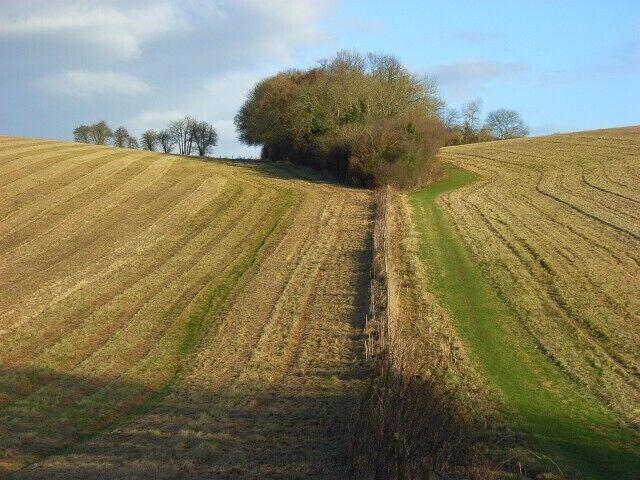 Farmland, Rotherfield Greys The brown of the late-mown hay is in contrast to the green strip where the footpath that climbs northwards is.