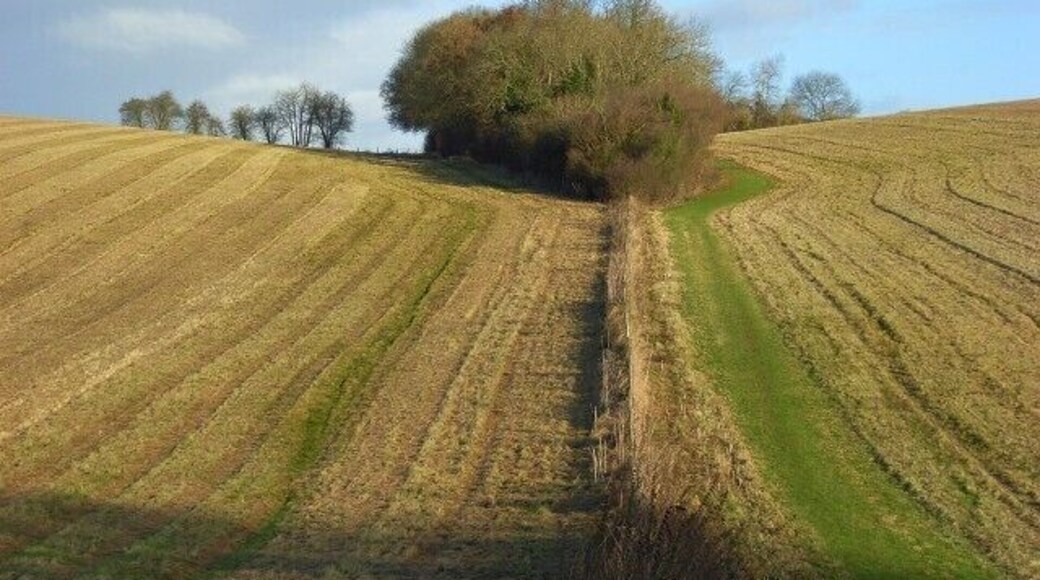 Farmland, Rotherfield Greys The brown of the late-mown hay is in contrast to the green strip where the footpath that climbs northwards is.