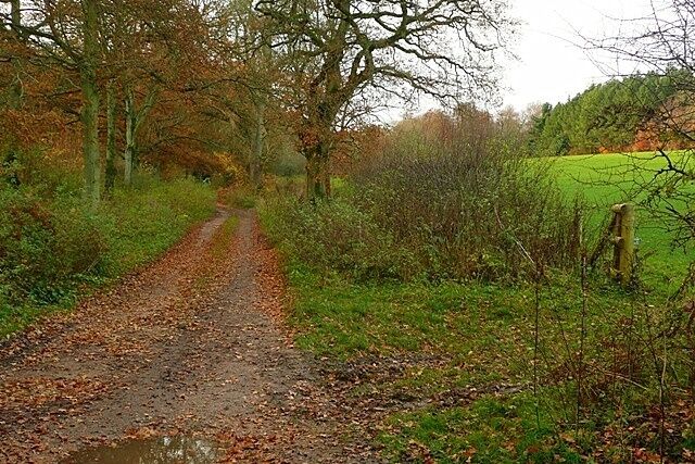 Restricted byway to Highmoor There is an extensive network of restricted byways and bridleways in the woods and small pastures to the east of Highmoor.