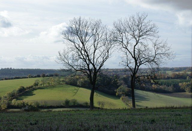 Bare trees south of Coxlease Farm Looking south west from the ridge into the Stonor valley.