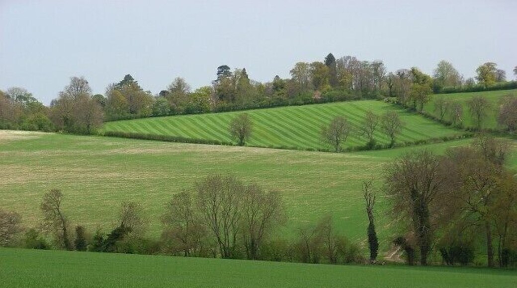 Farmland, Pishill A view over arable fields to a hay-meadow below Turville Park.