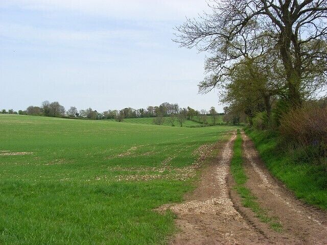 A rural dirt road in a green field with trees on the right.