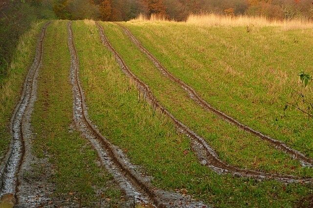 Tracks towards Offal Wood Probably caused by access for shooting parties.