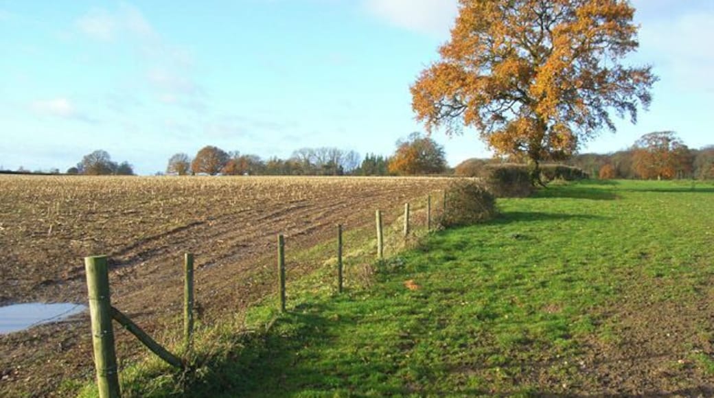 Farmland, Greys Here pastoral and arable fields meet. The woodland in the background is at Broadplat.