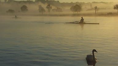 Um lago calmo com uma pessoa remando um barco à distância, envolto em névoa e árvores.