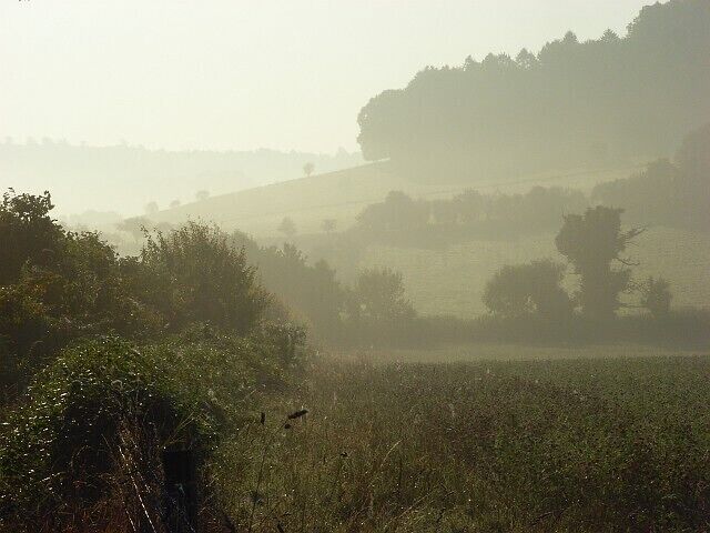 Paisaje rural brumoso con colinas ondulantes, un campo y árboles dispersos.