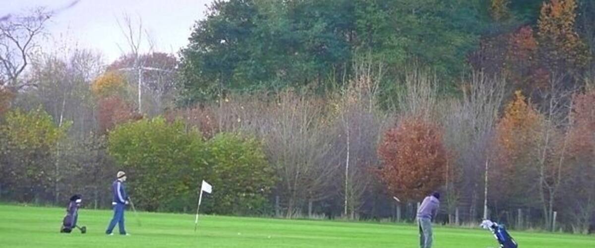 A golf course with players, a flag, and autumn trees in the background.