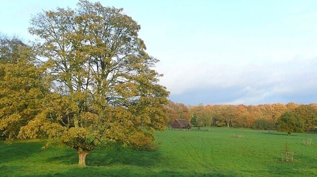 Pasture at Merrimoles Looking north-east from a bridleway passing Lower Highmoor.