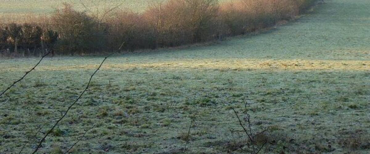 Farmland below Adam's Wood. View from the edge of the wood. The bridleway descends in the hedgerow.