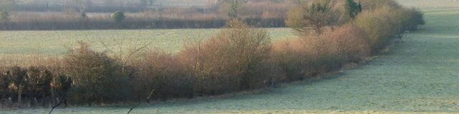 Farmland below Adam's Wood. View from the edge of the wood. The bridleway descends in the hedgerow.