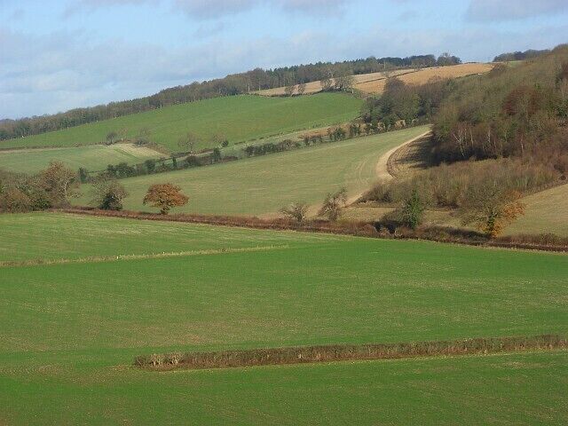 The Assendon Valley Showing the arable fields of the valley between Middle Assendon and Stonor. The view is from White Lane below Bix and shows Paradise Wood on the eastern side of the valley.