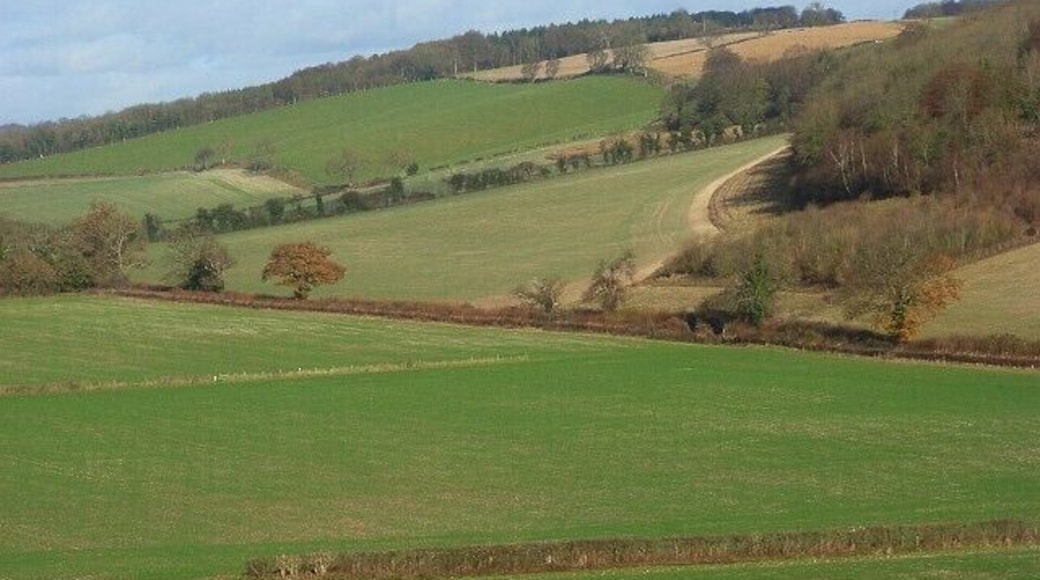 The Assendon Valley Showing the arable fields of the valley between Middle Assendon and Stonor. The view is from White Lane below Bix and shows Paradise Wood on the eastern side of the valley.